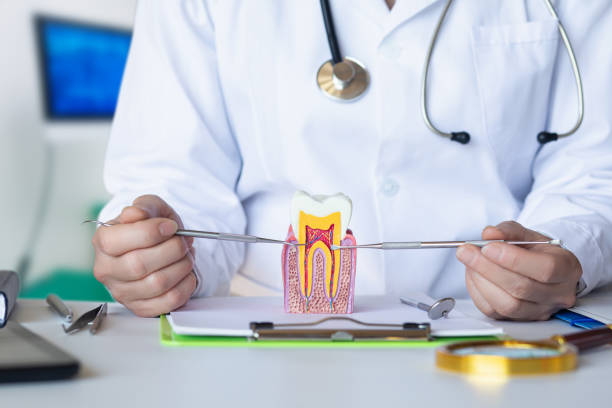 Best Emergency Dental Care for Broken or Chipped Teeth in Landis, NC